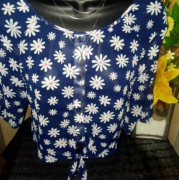 🌼Never Worn Semi Sheer Crop Top.🌼 - Picture 3 of 4